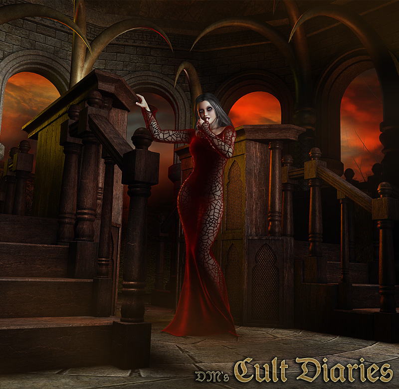 DMs Cult Diaries by N/A