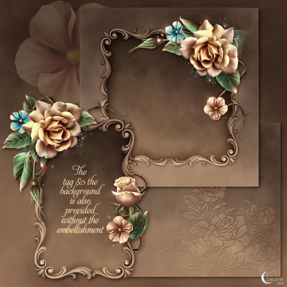 Moonbeam's Champagne Roses by N/A