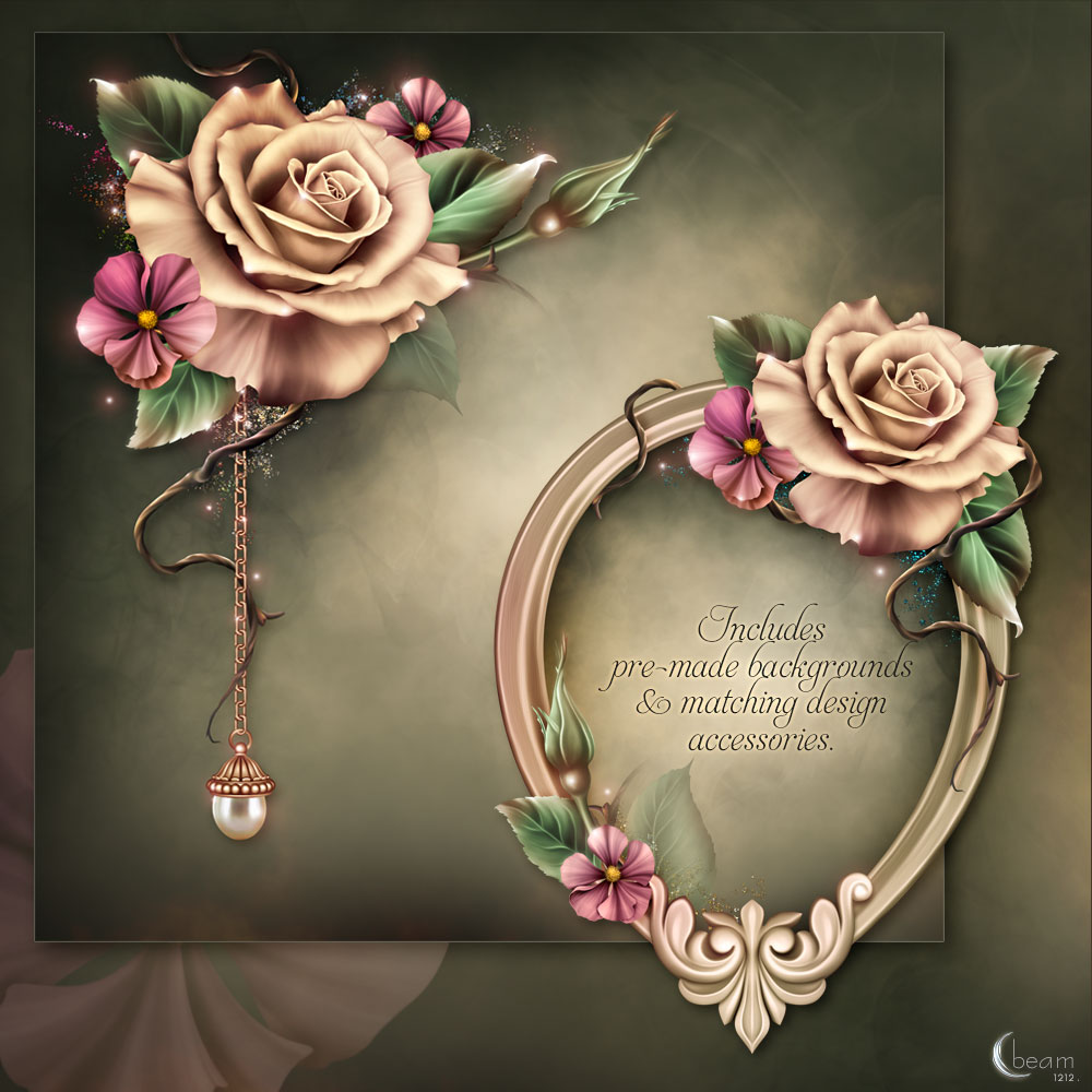 Moonbeam's Champagne Roses by N/A
