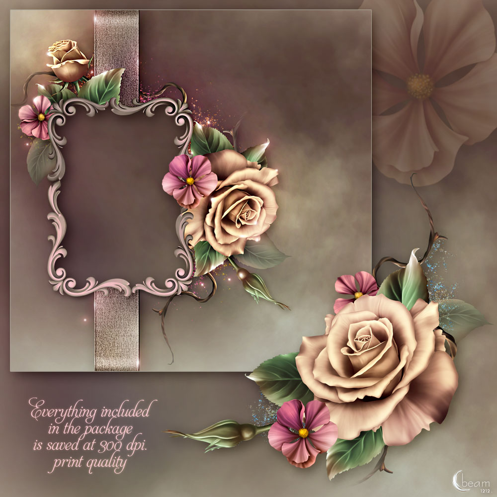 Moonbeam's Champagne Roses by N/A