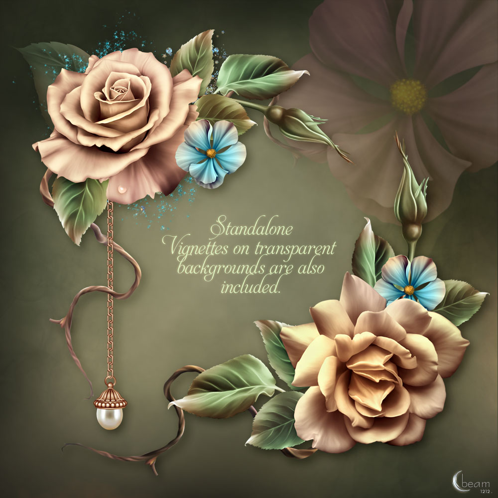 Moonbeam's Champagne Roses by N/A