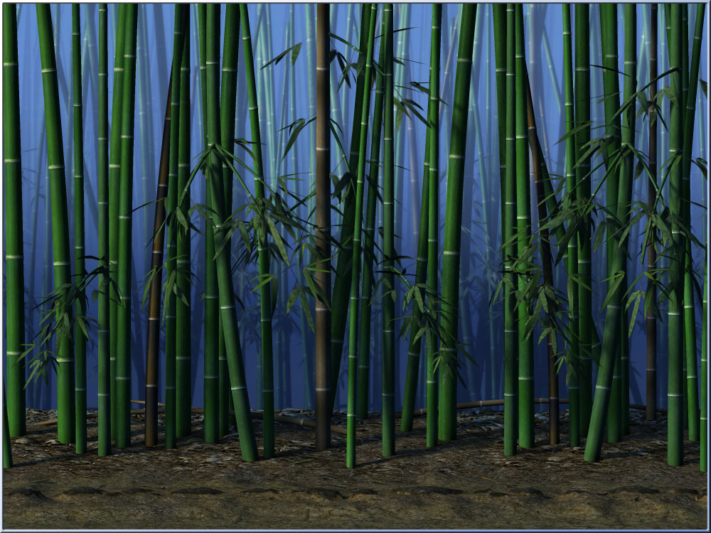 Bamboo Forest by N/A