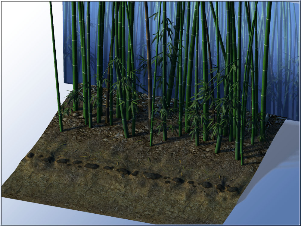 Bamboo Forest by N/A