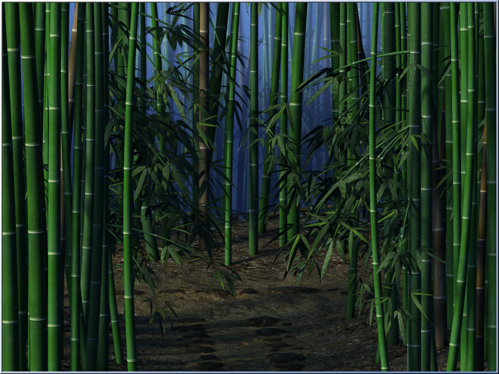 Bamboo Forest by N/A