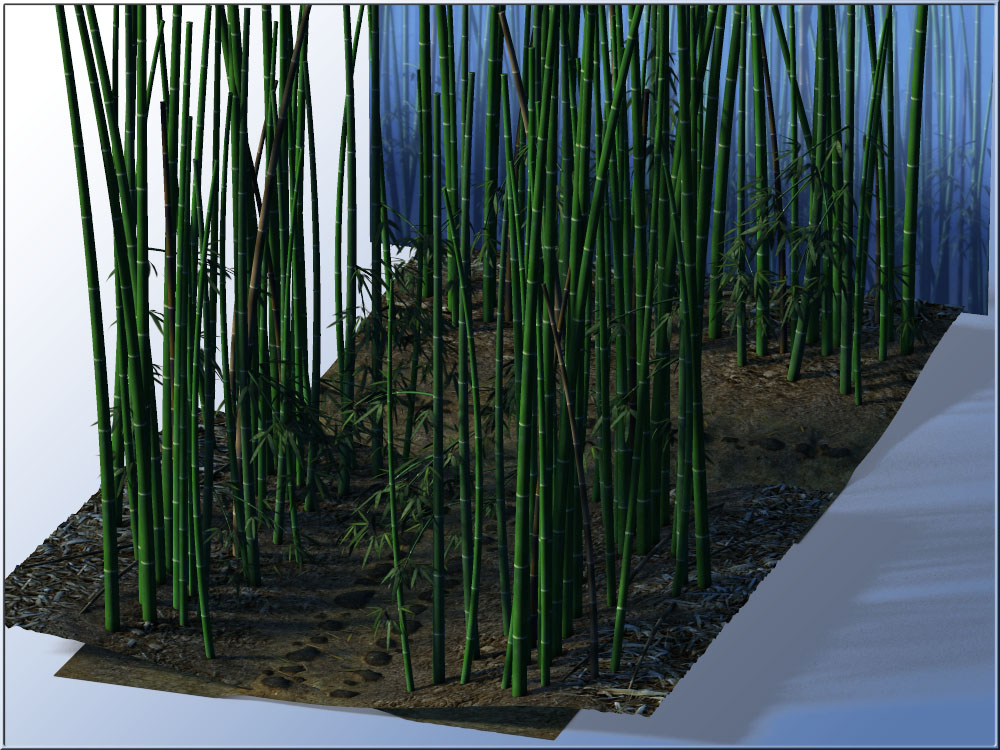 Bamboo Forest by N/A