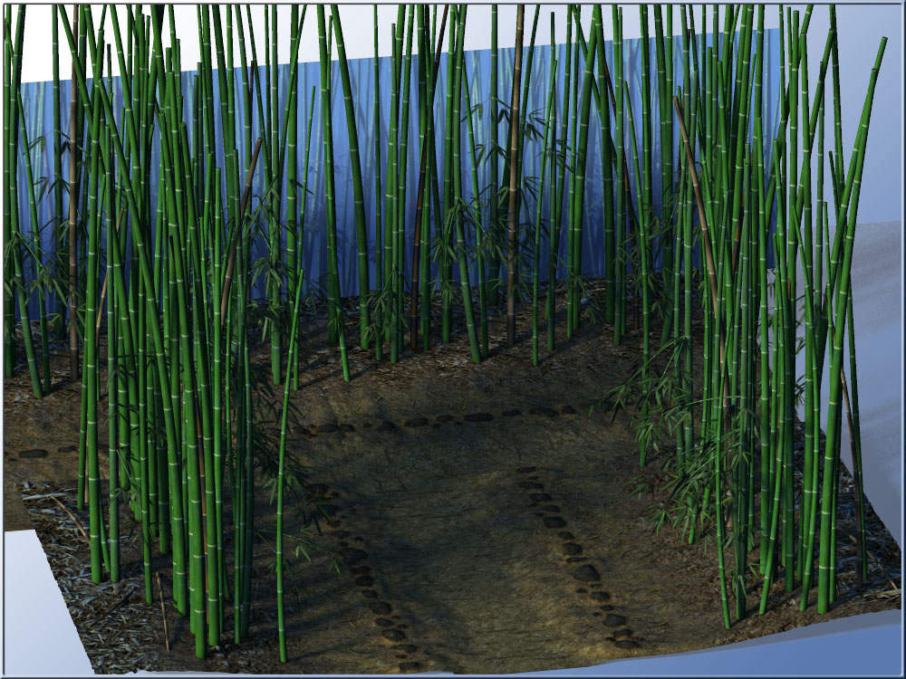 Bamboo Forest by N/A
