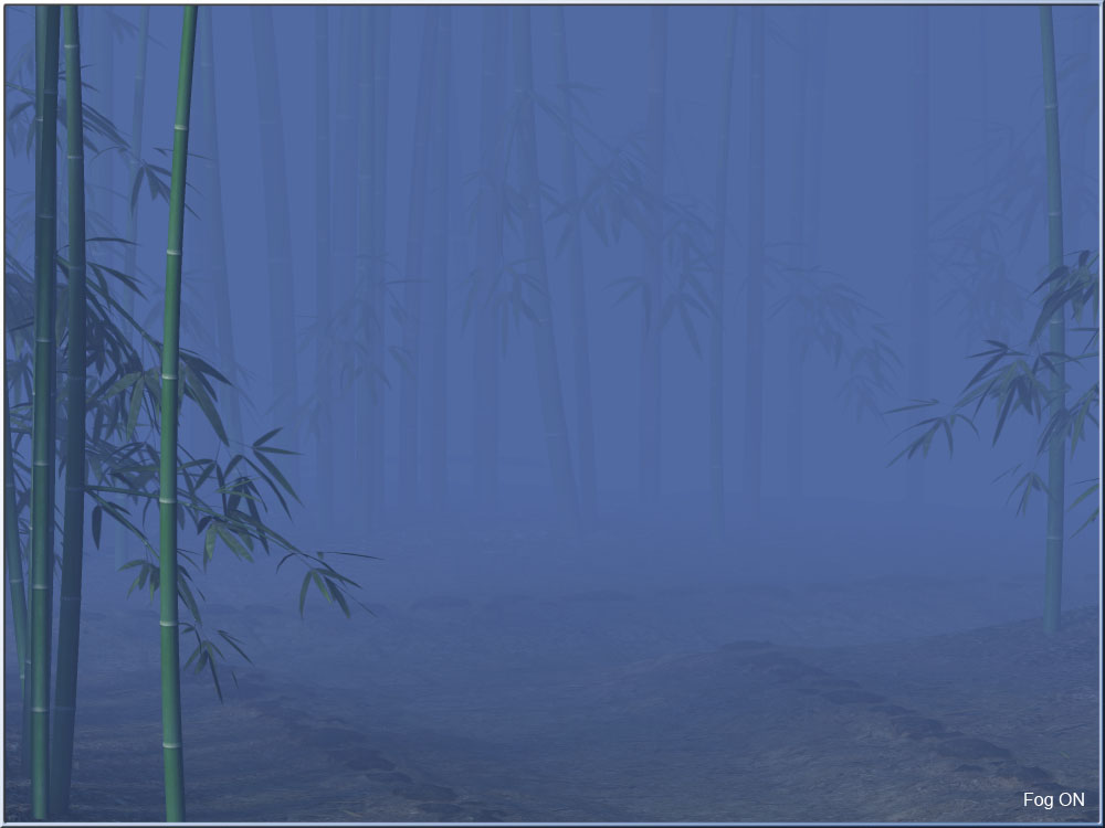 Bamboo Forest by N/A