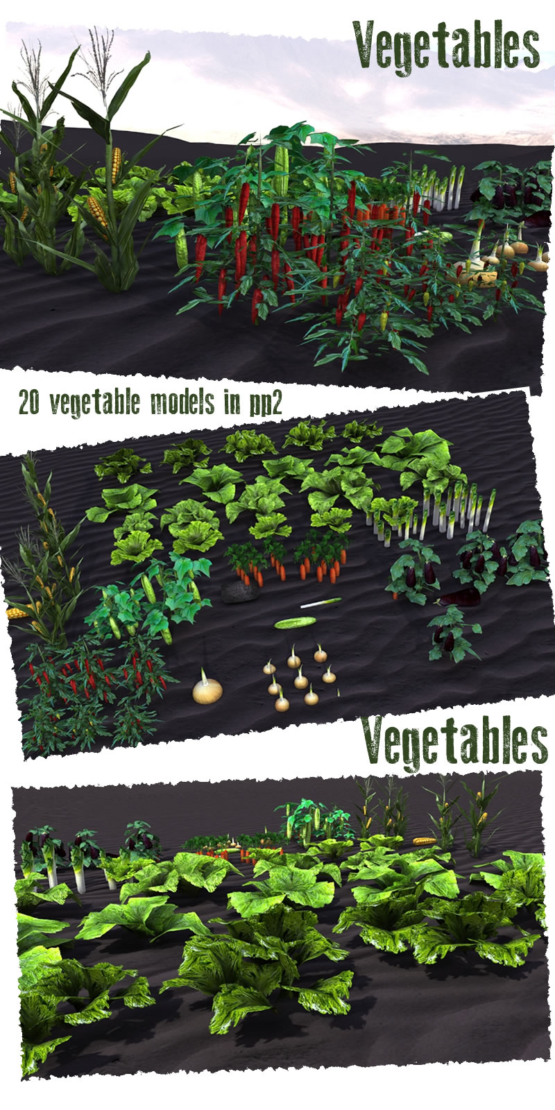 Vegetable Plants by N/A