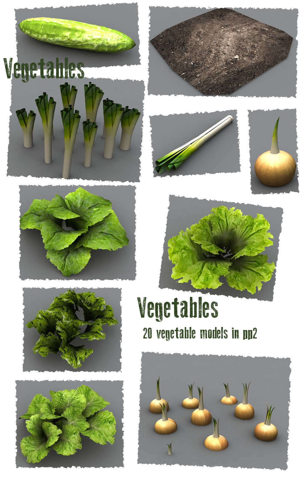 Vegetable Plants by N/A