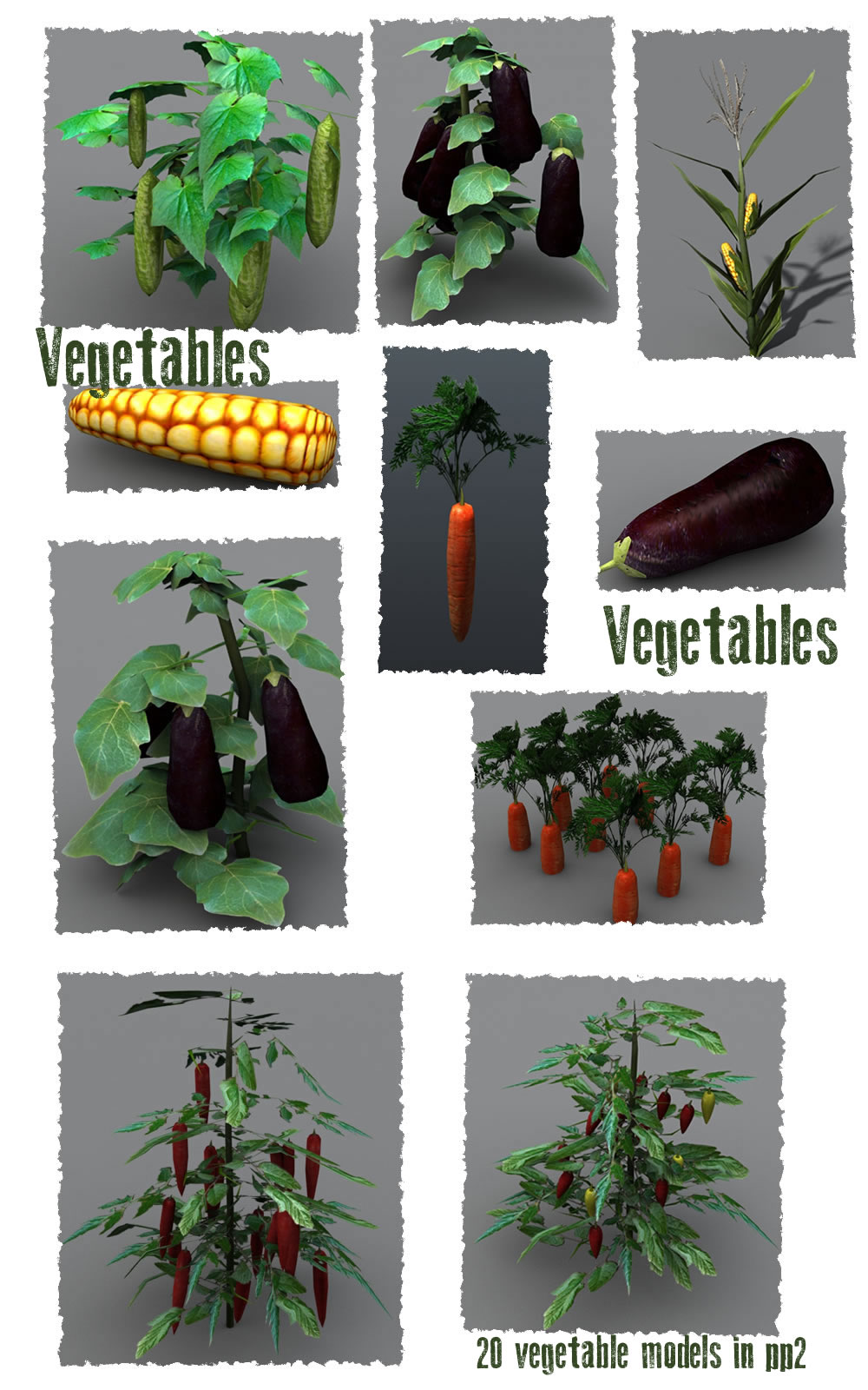 Vegetable Plants by N/A