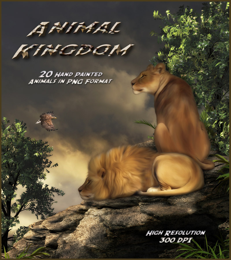 Animal Kingdom by N/A