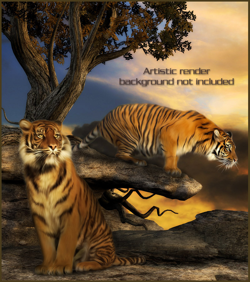 Animal Kingdom by N/A