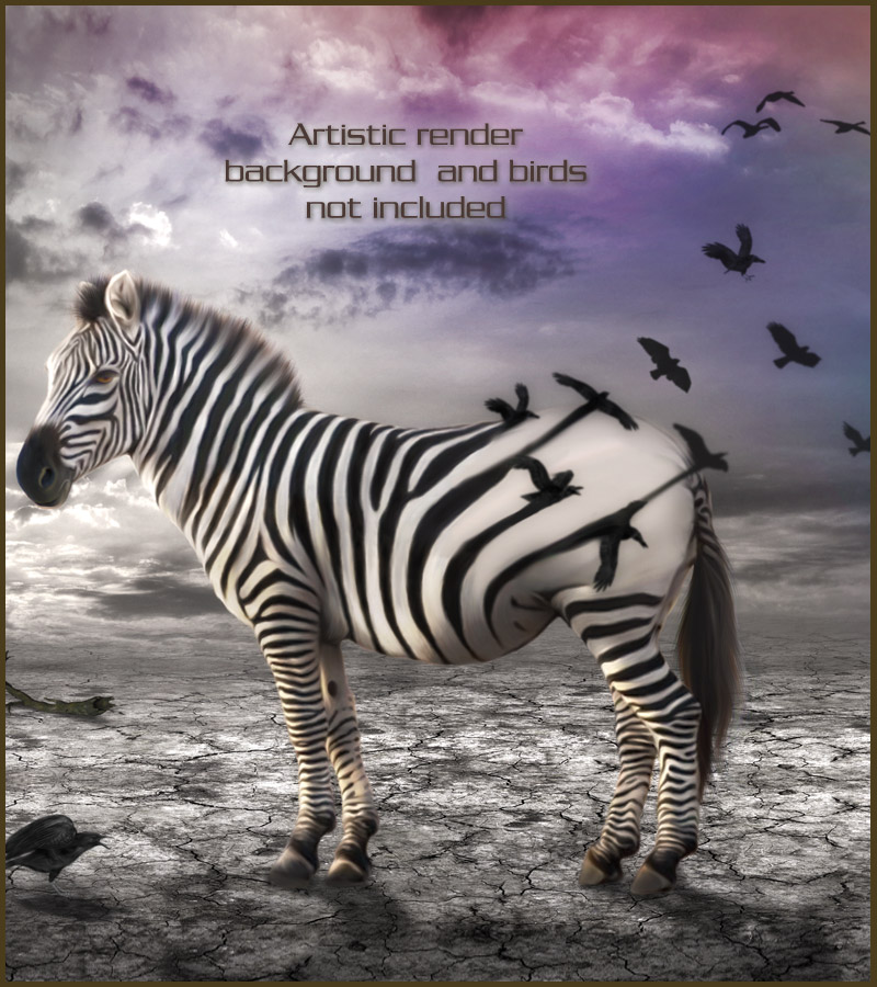 Animal Kingdom by N/A