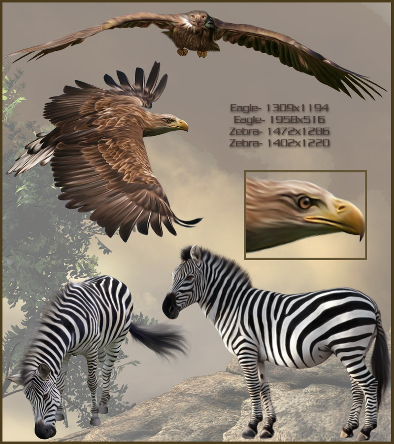 Animal Kingdom by N/A