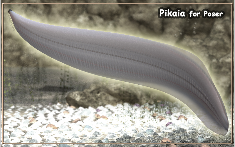 Pikaia by N/A