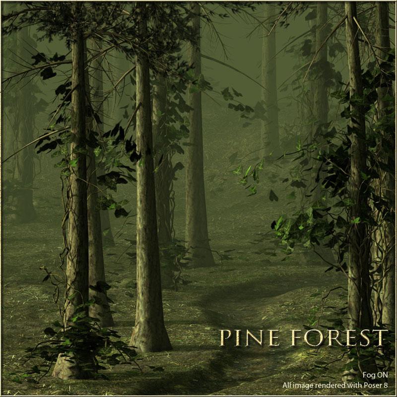 Pine Forest by N/A