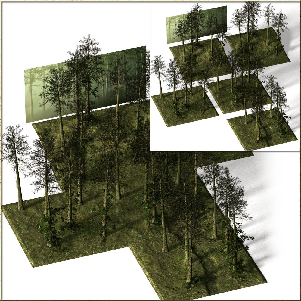 Pine Forest by N/A