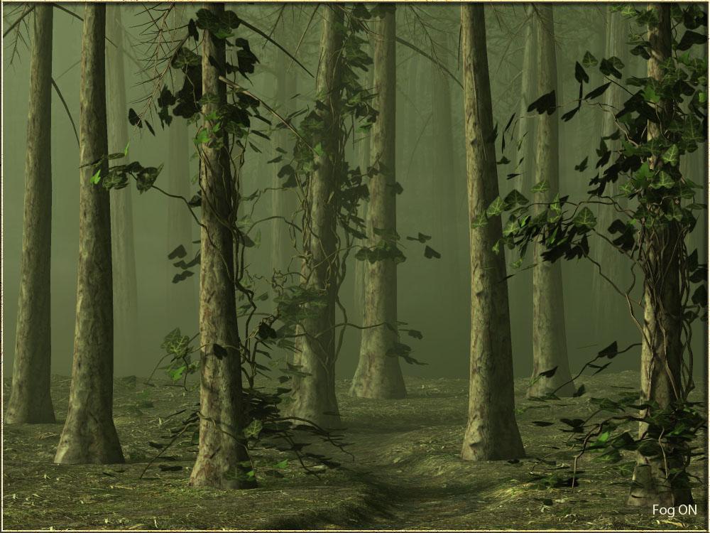 Pine Forest by N/A