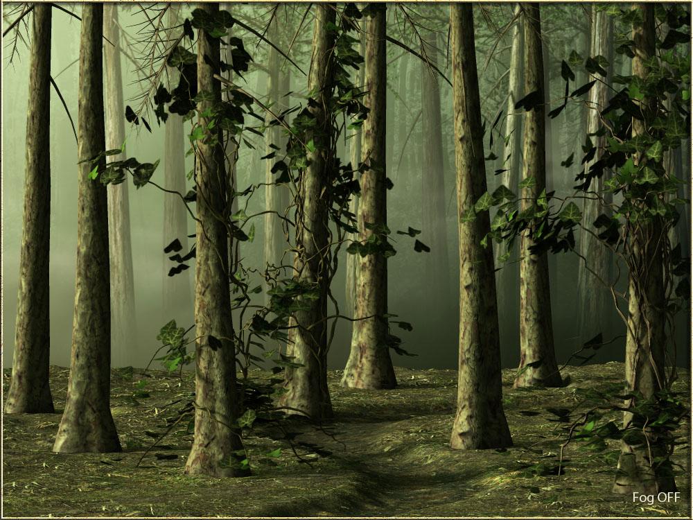 Pine Forest by N/A