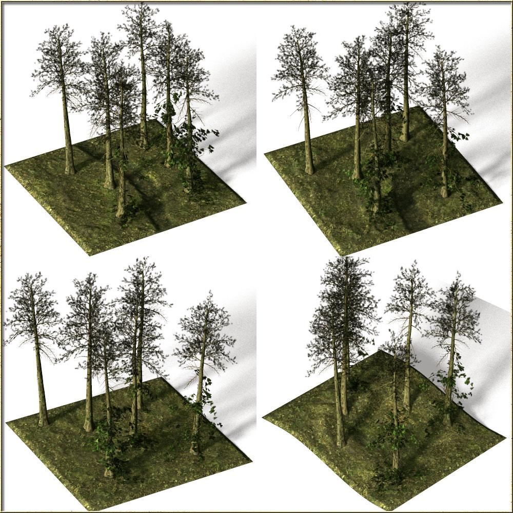 Pine Forest by N/A