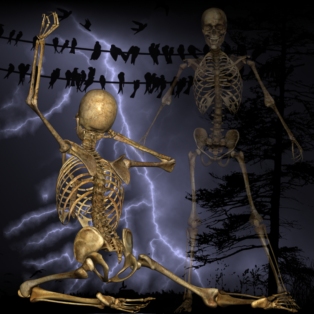 M4 Old Bones 2 by N/A