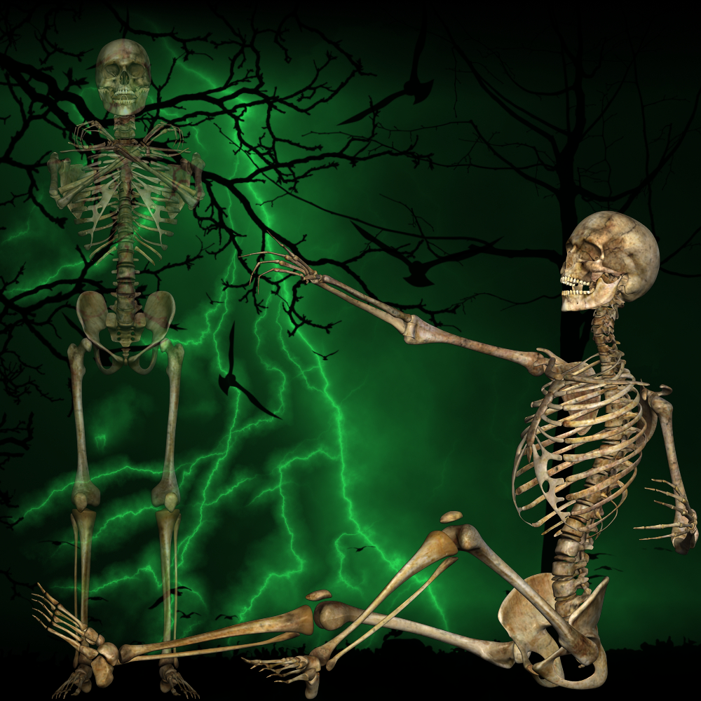 M4 Old Bones 2 by N/A