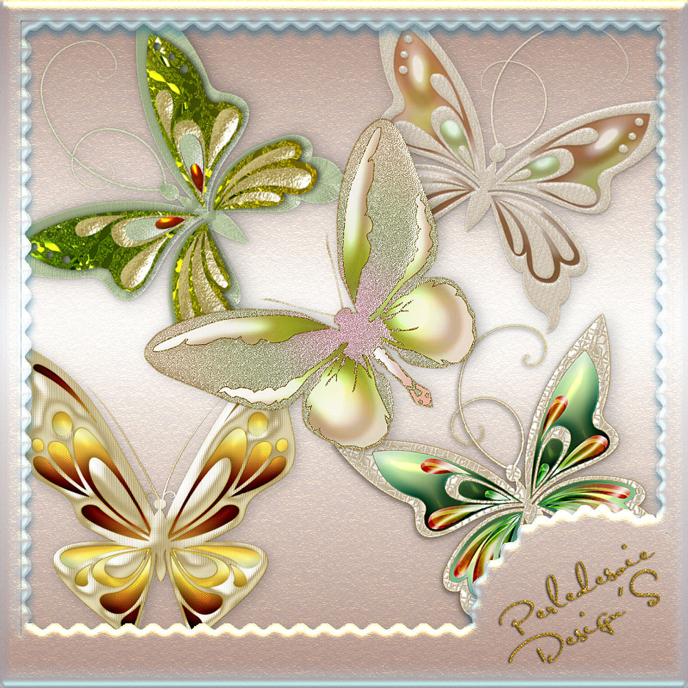 Papillons d't by N/A