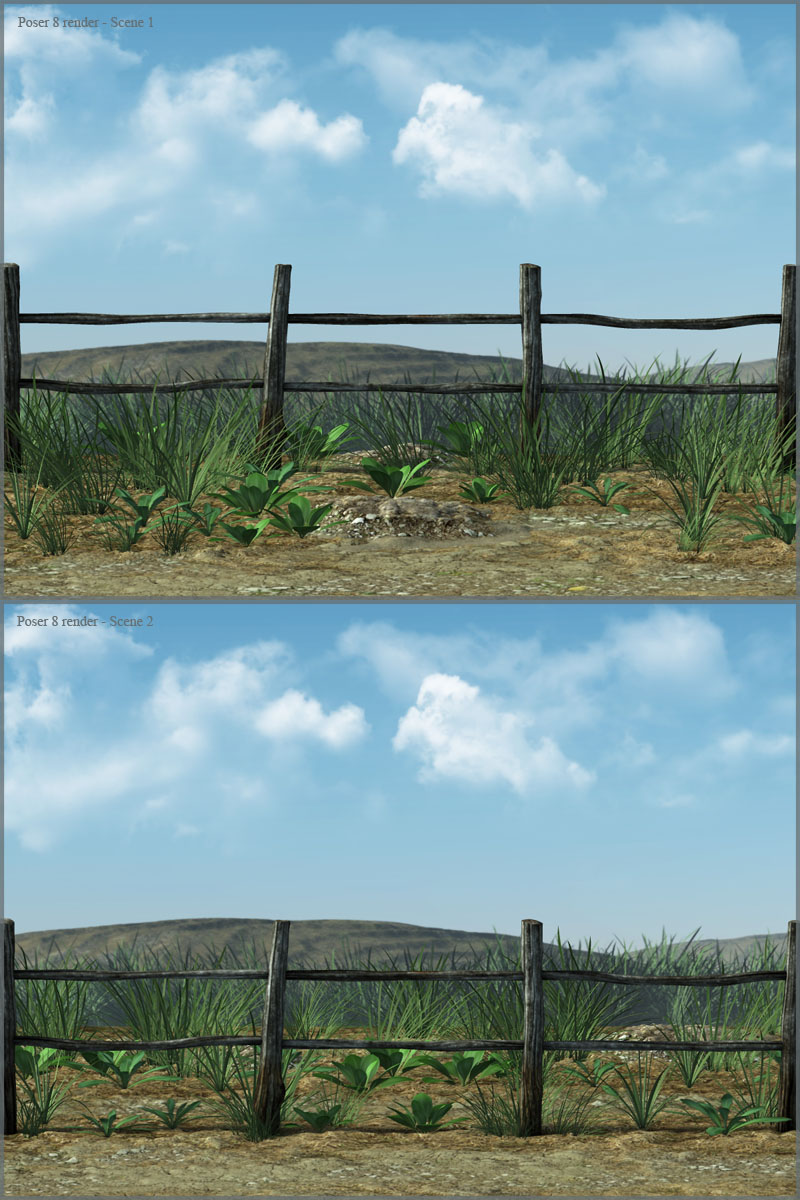 Meadow by N/A
