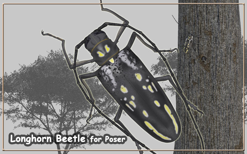Longhorn Beetle for Poser by N/A