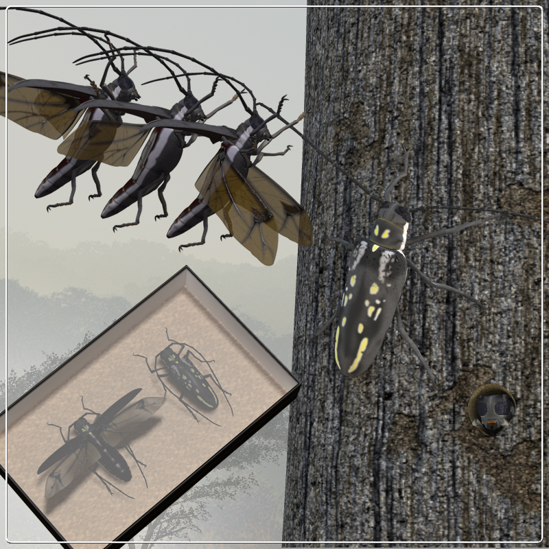 Longhorn Beetle for Poser by N/A