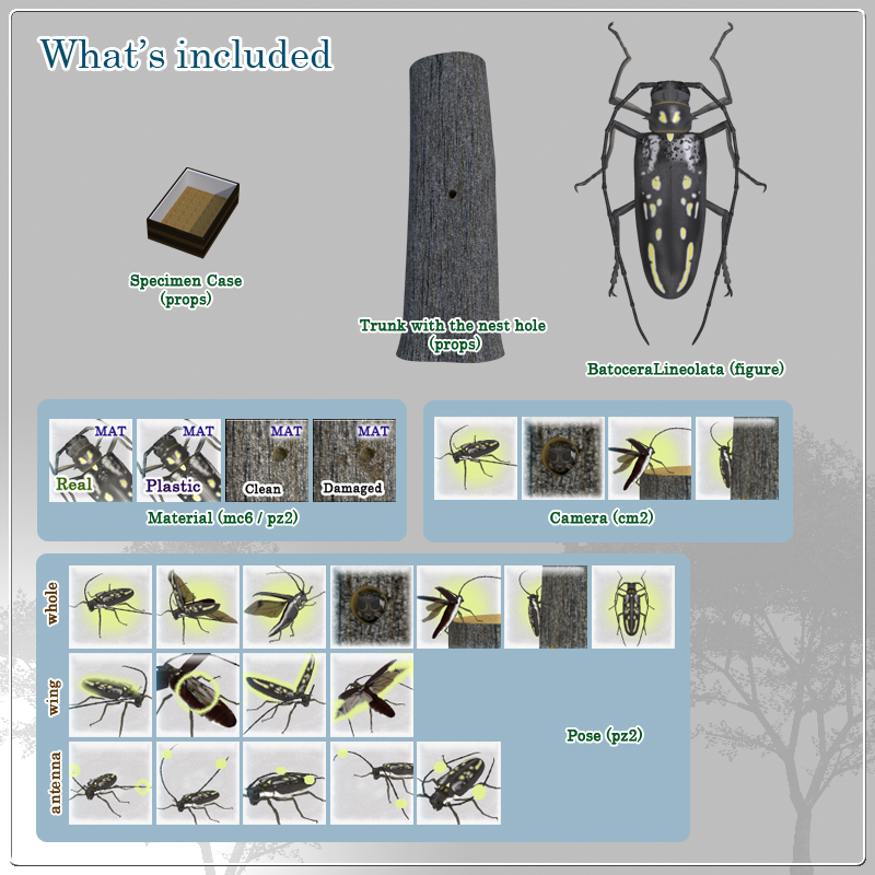 Longhorn Beetle for Poser by N/A