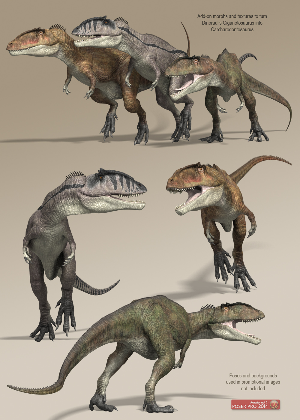 Carcharodontosaurus by N/A