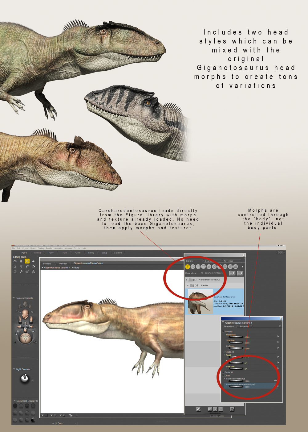 Carcharodontosaurus by N/A