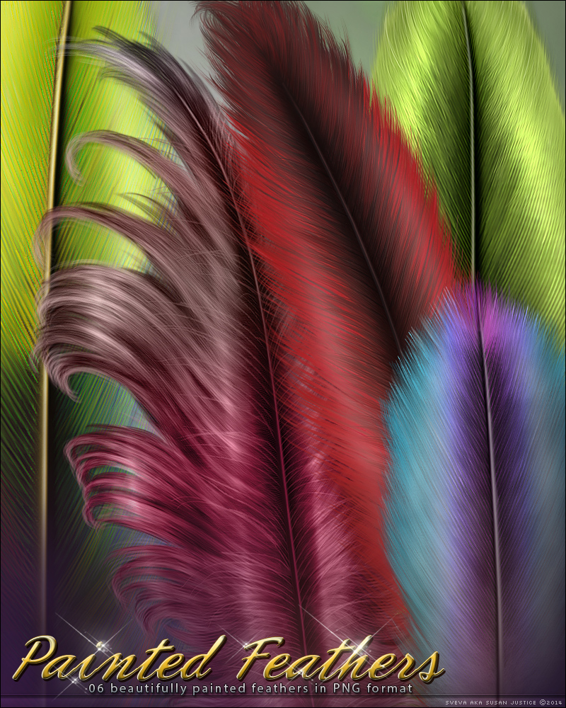 Painted Feathers SV by N/A