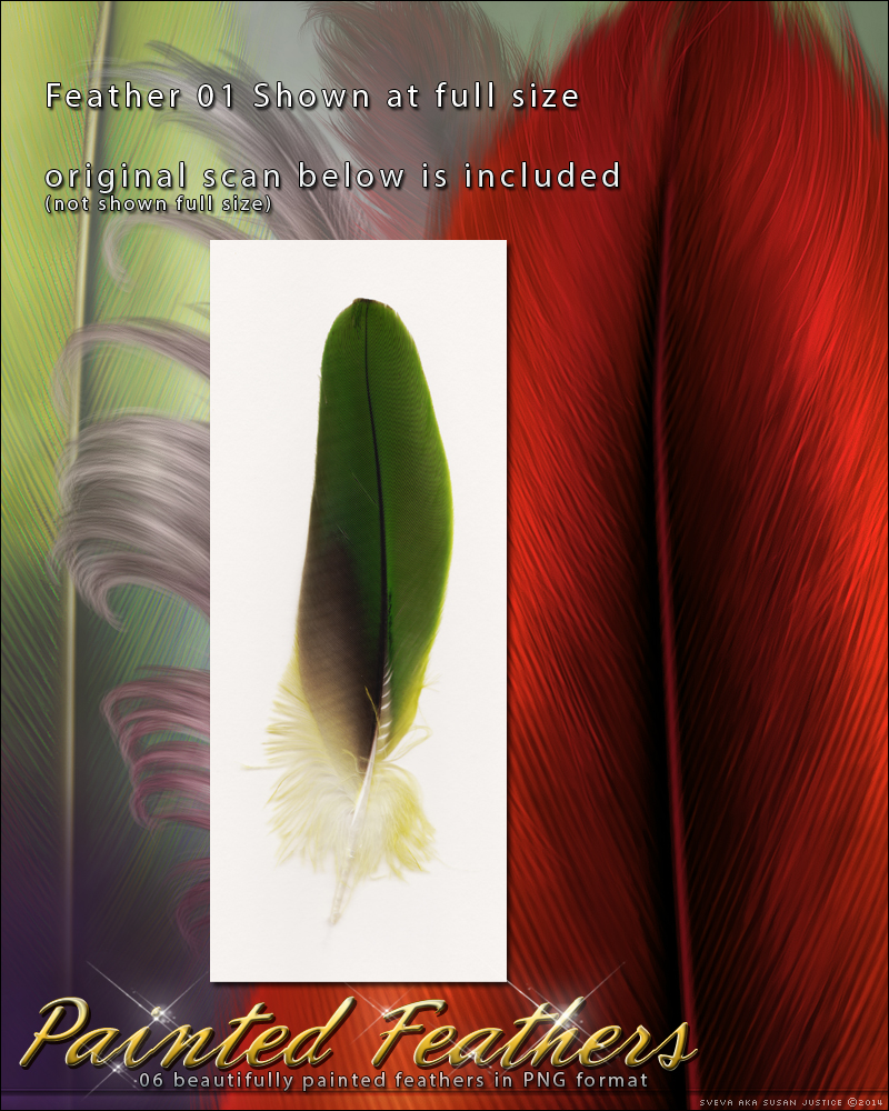 Painted Feathers SV by N/A