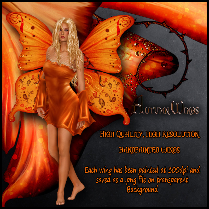Autumn Wings by N/A