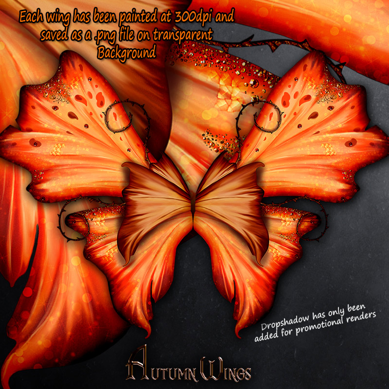 Autumn Wings by N/A