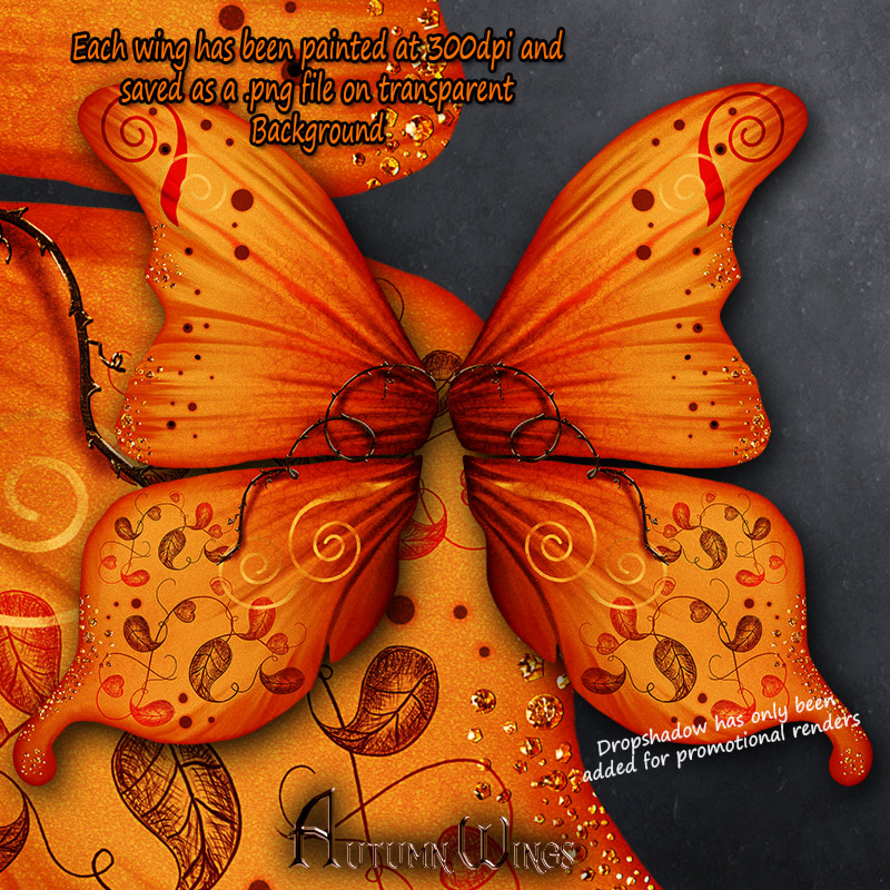 Autumn Wings by N/A