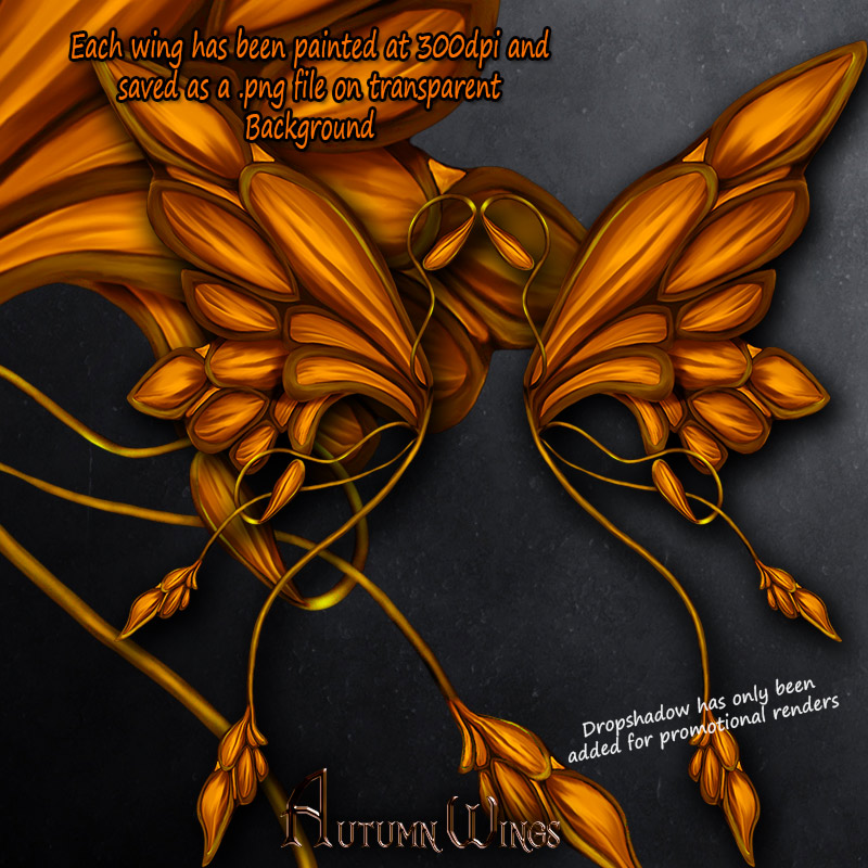 Autumn Wings by N/A