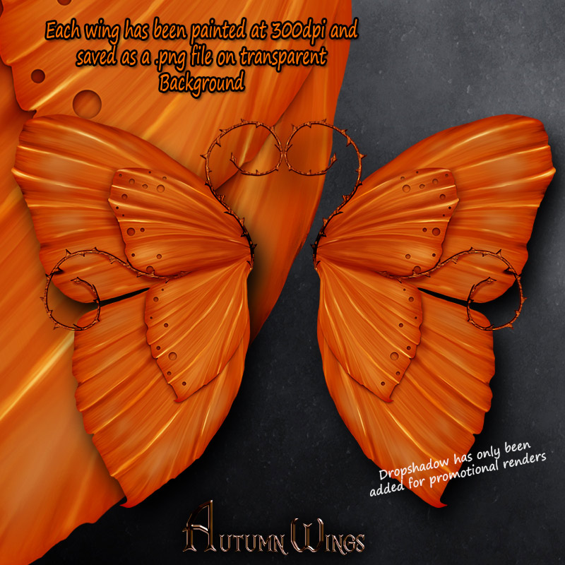 Autumn Wings by N/A