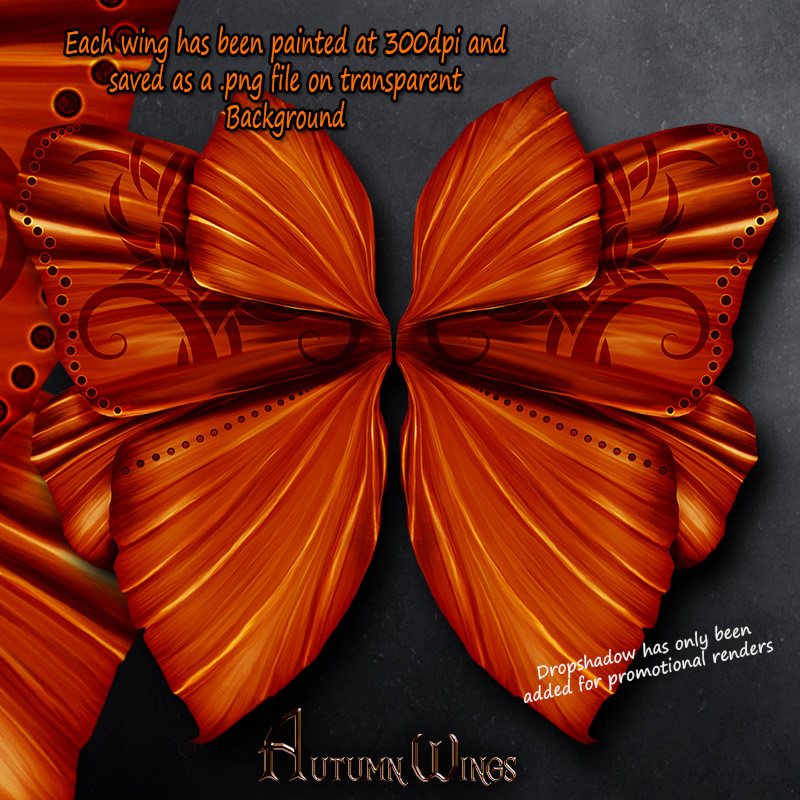 Autumn Wings by N/A