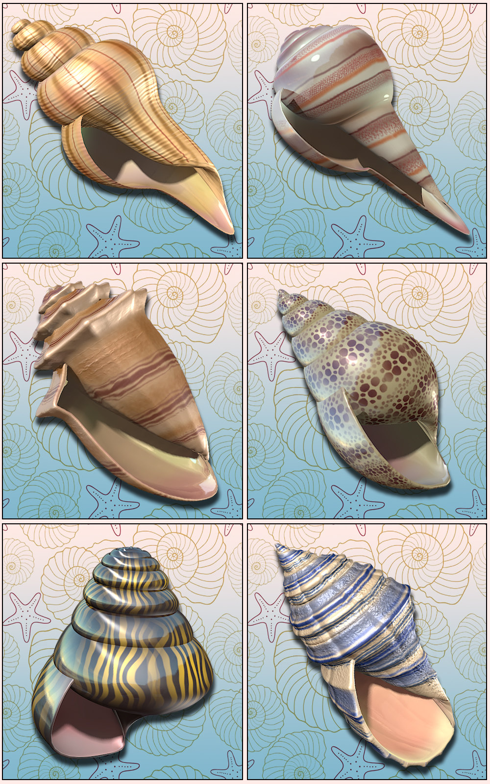 Exnem Seashells by N/A