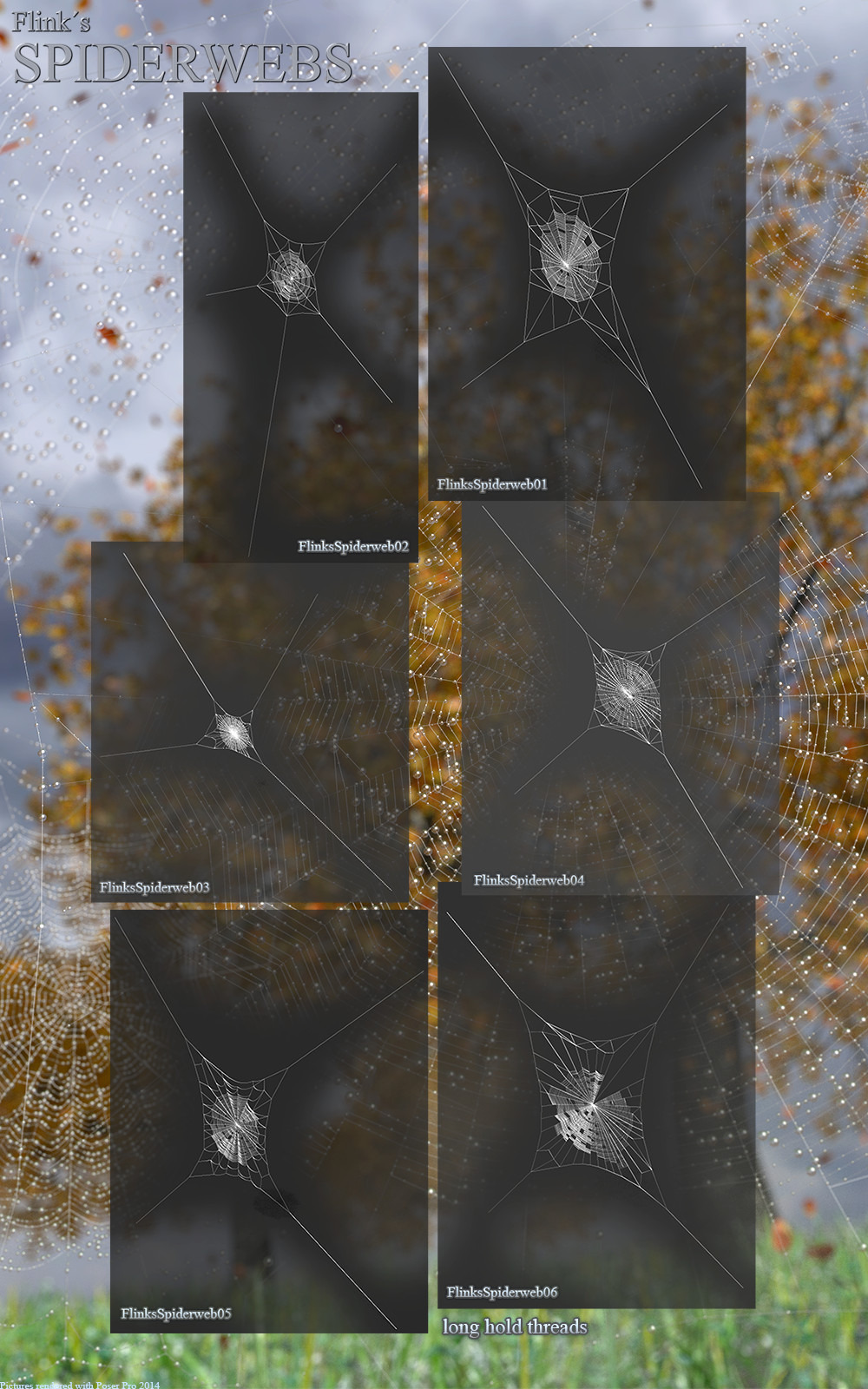 Flinks Spiderwebs by N/A