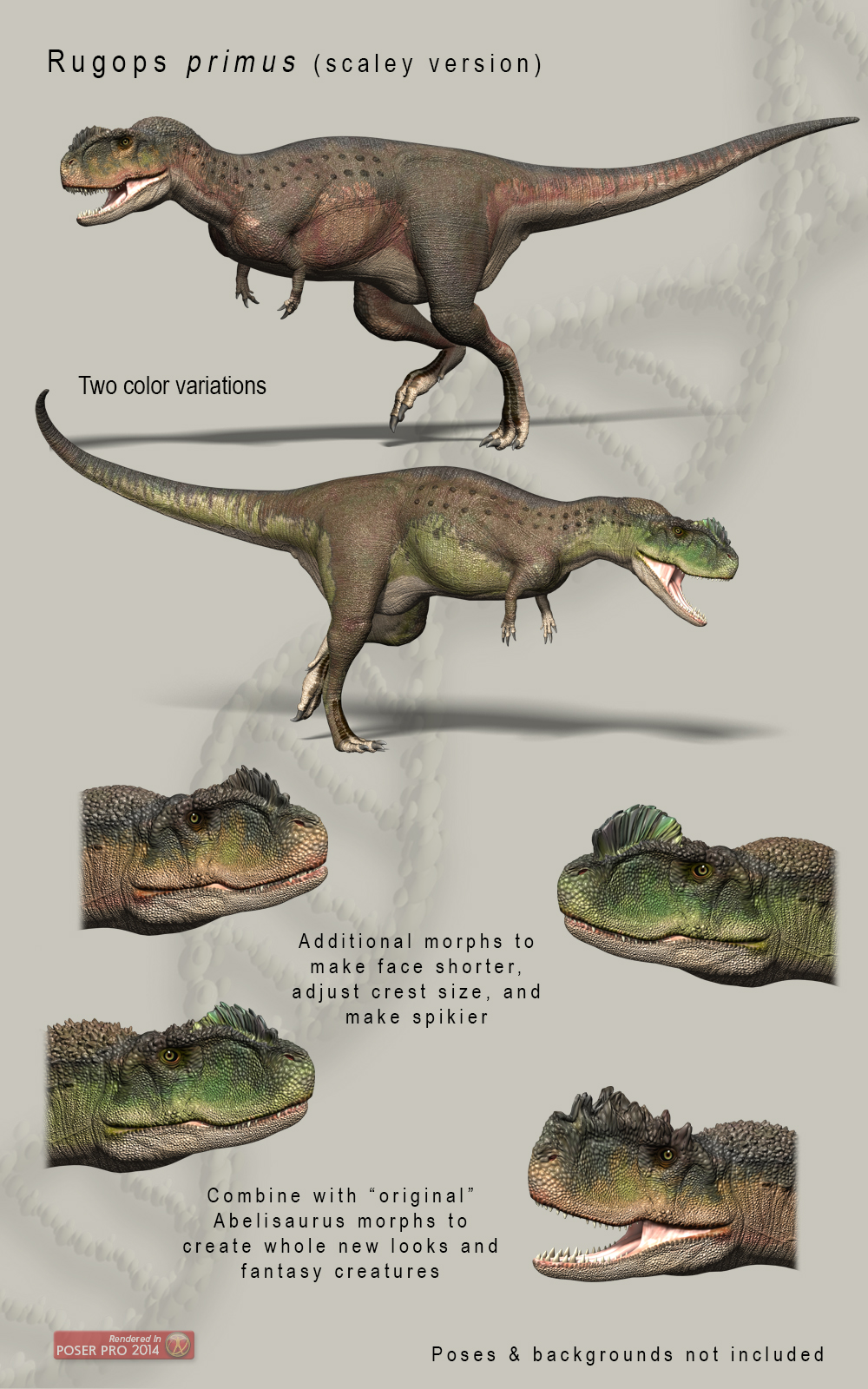 Rugops by N/A