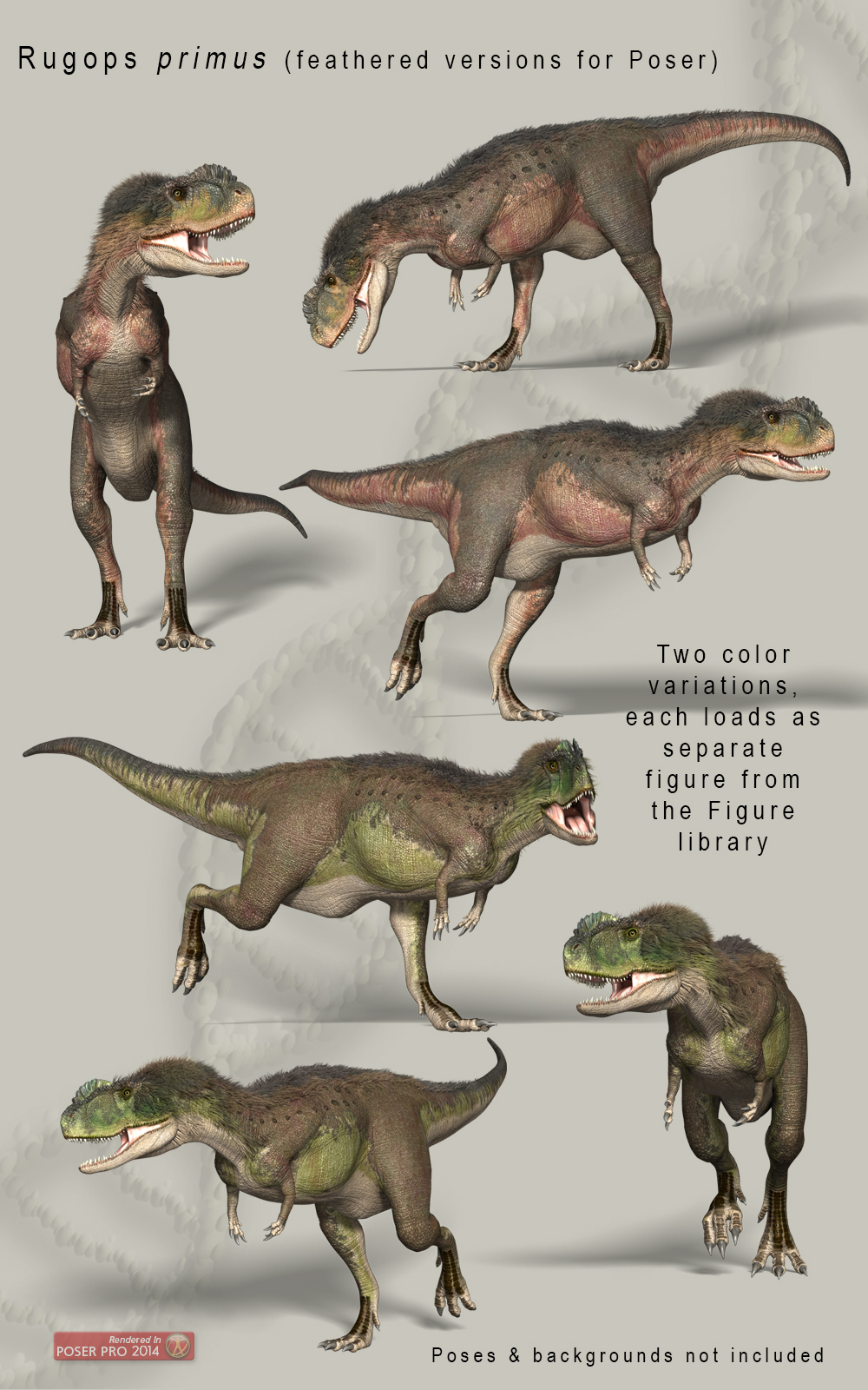 Rugops by N/A