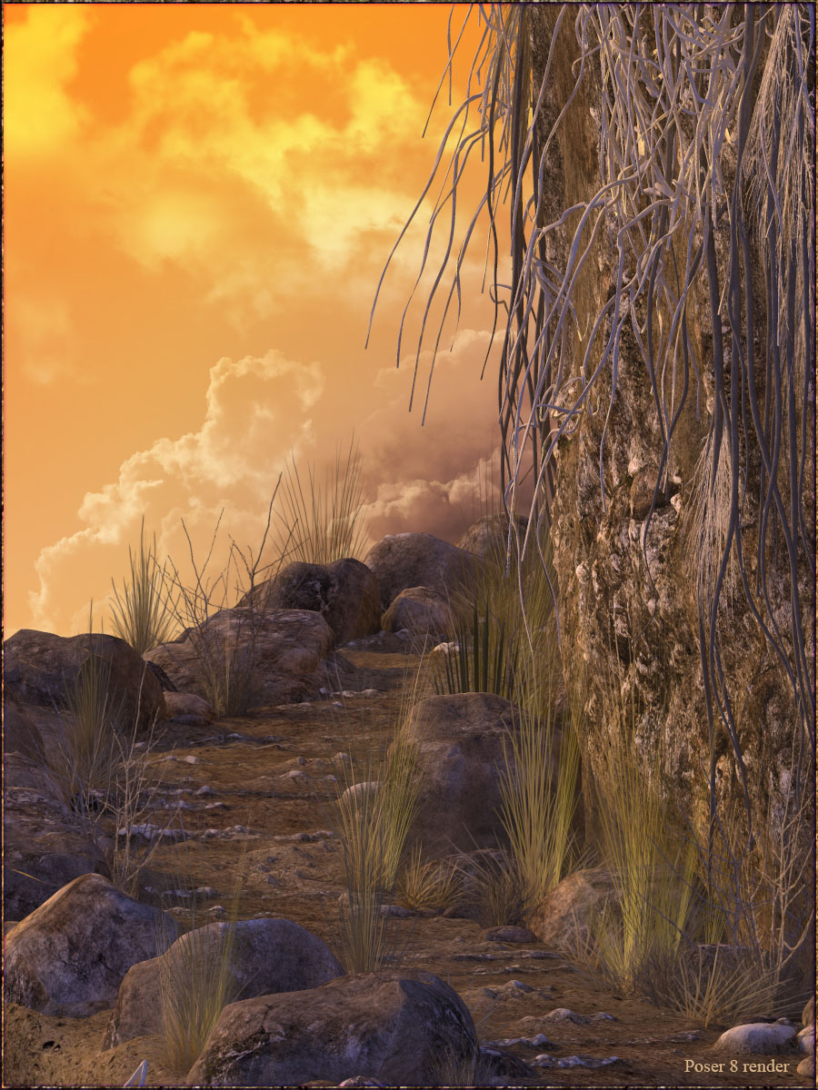 Stone Path by N/A