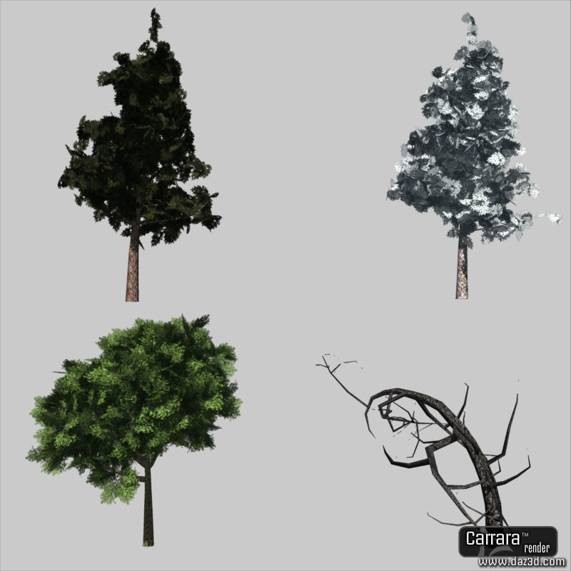 Nature by N/A
