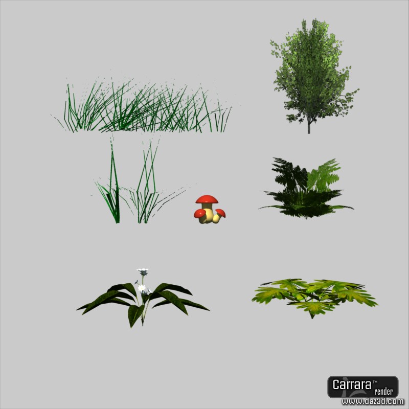 Nature by N/A