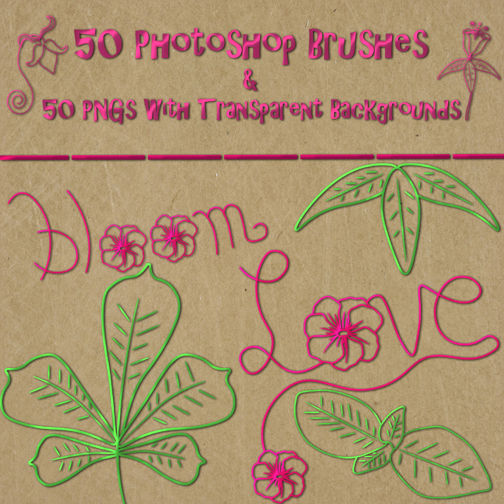 FB Flowers N Foliage Photoshop CC Brushes by N/A