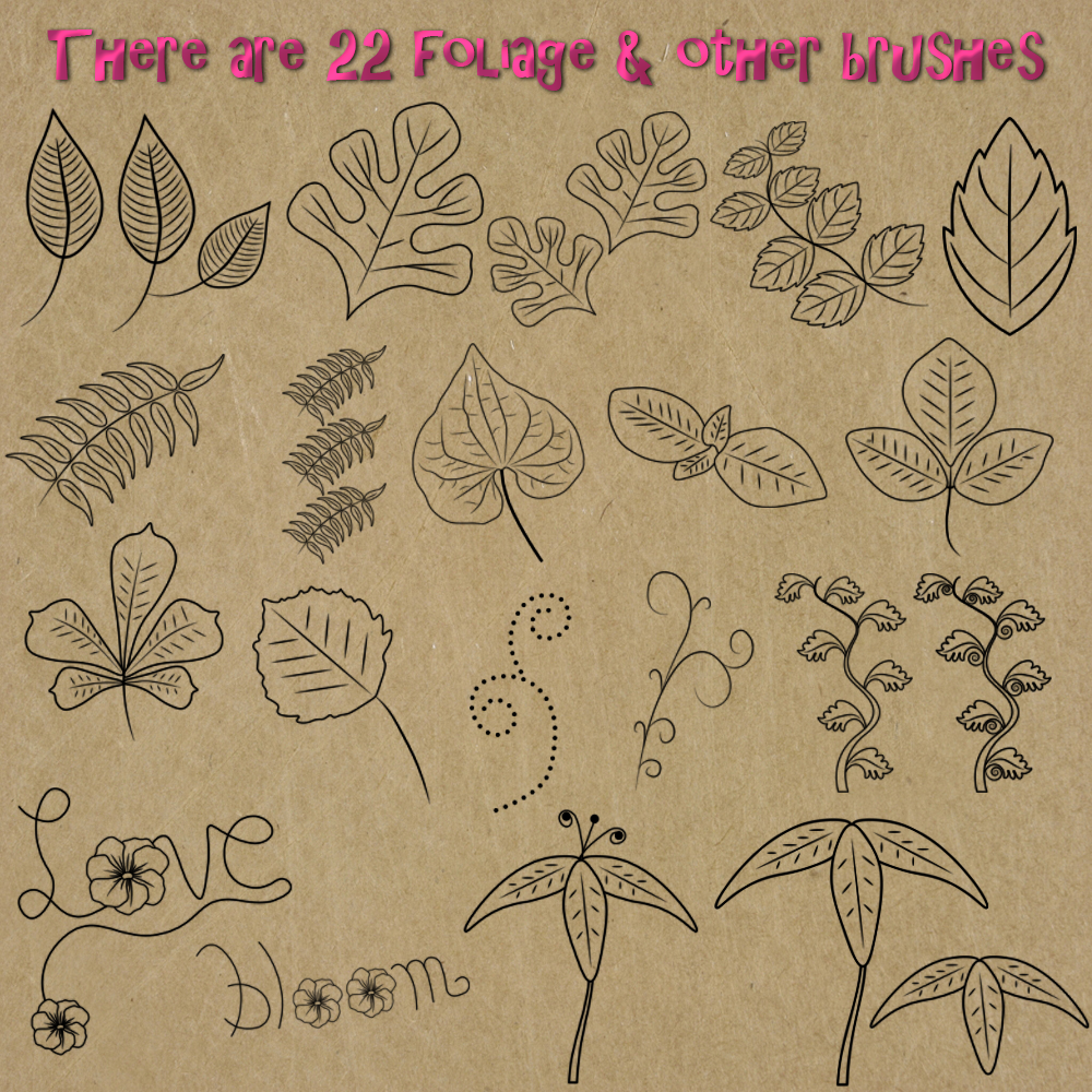 FB Flowers N Foliage Photoshop CC Brushes by N/A
